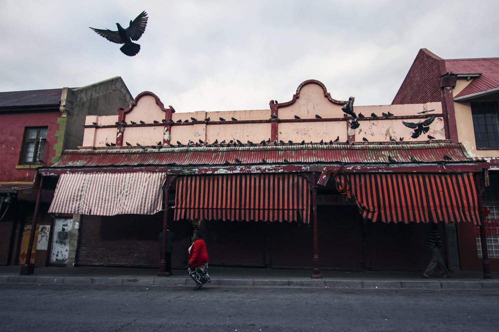 Flight - Heather Mason