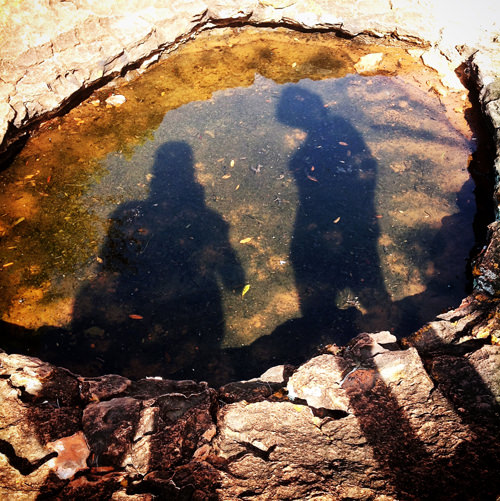 waterberg waterhole instagram