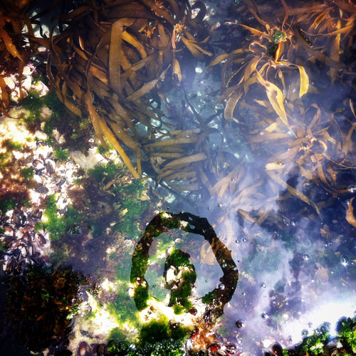 rock pool relfection