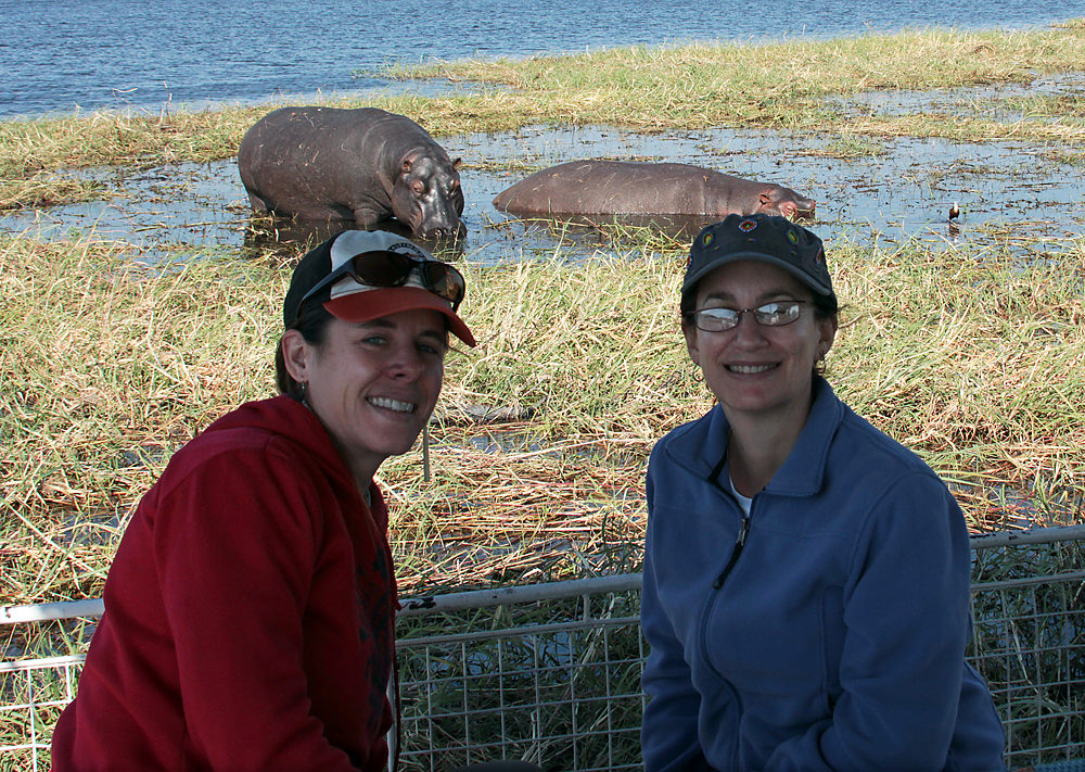 Heather Michelle hippos