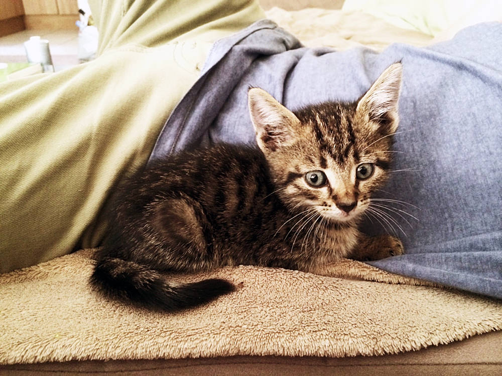 Processed with VSCOcam with se3 preset