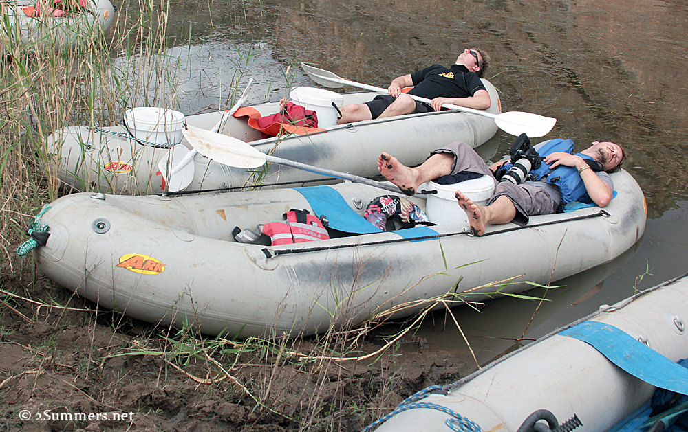 Melvin and Caspar sleeping