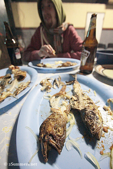 Fish remains vertical