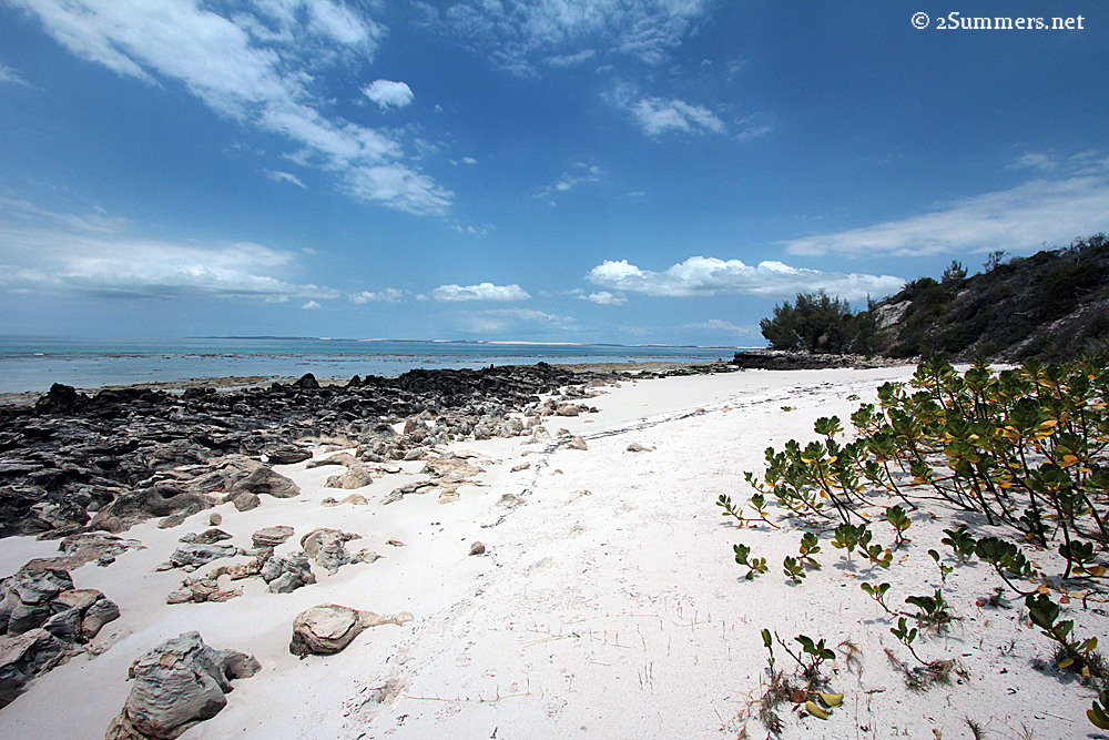 Paradise Island beach