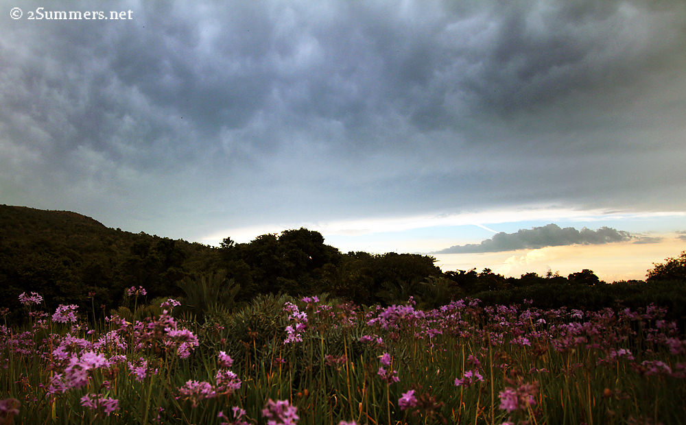 Walter Sisulu clouds