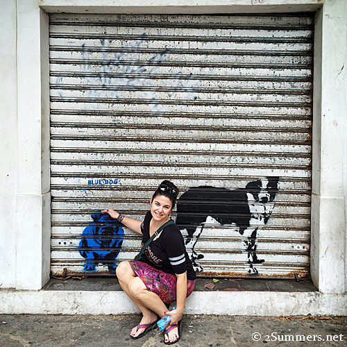 Sue and painted dogs