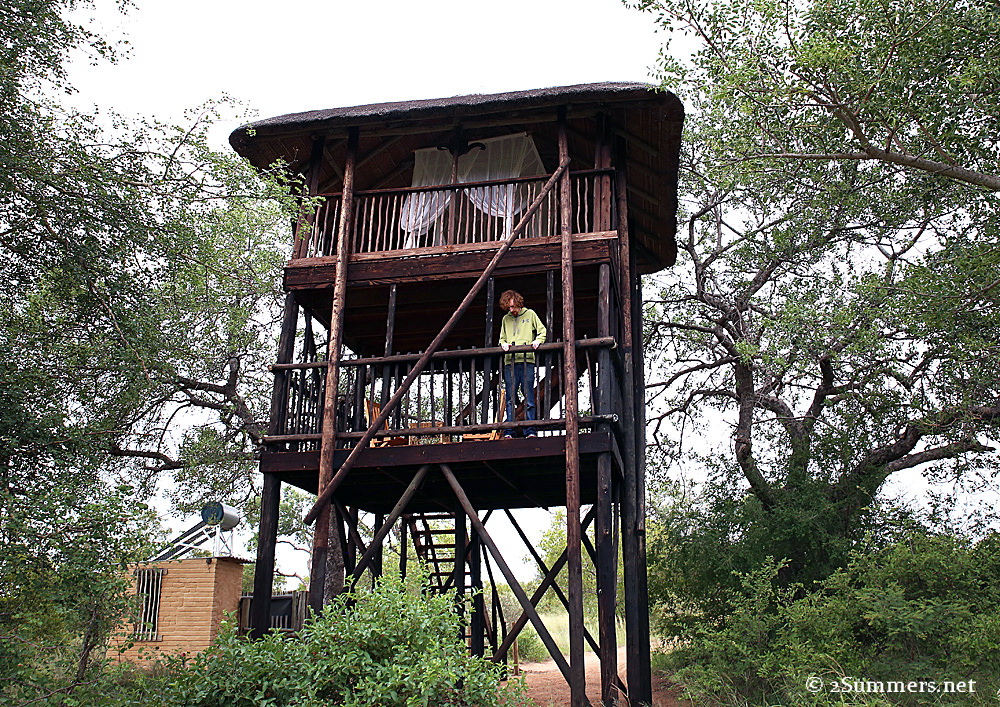 02Africa on Foot treehouse