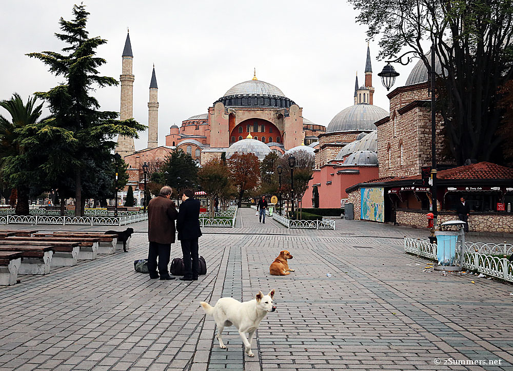 Hagia-Sofia-and-dogs