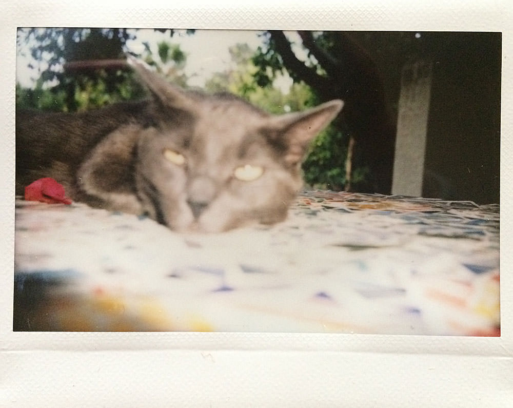 Smokey-Instax-fail