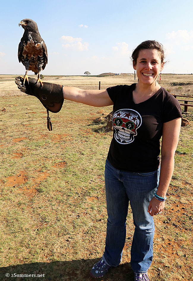 Jackal-buzzard-and-Heather