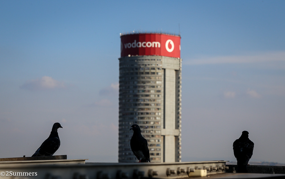 Pigeons and Ponte City