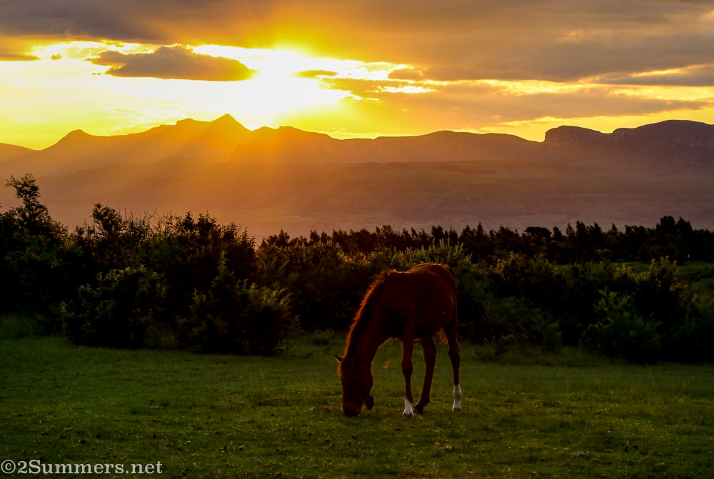 Drakensberg-2583