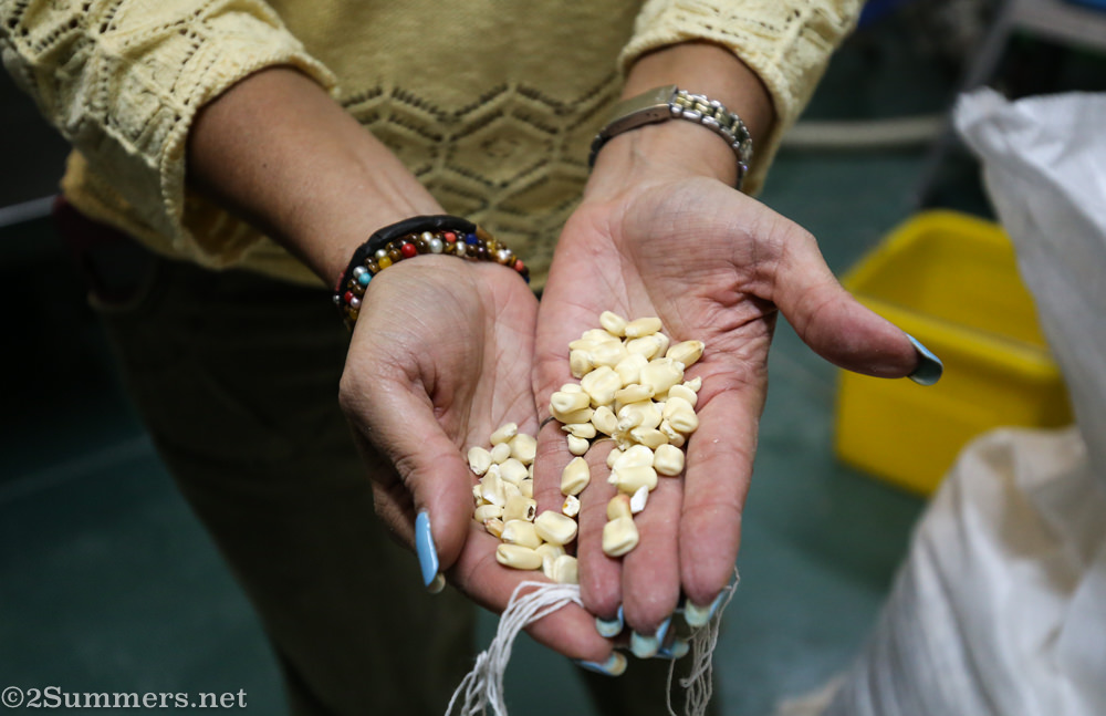 Azteca Mexican food dried corn