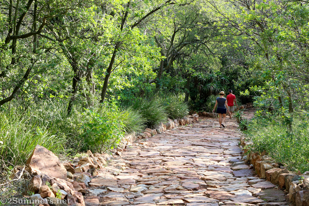 A stone pathway in the Wilds