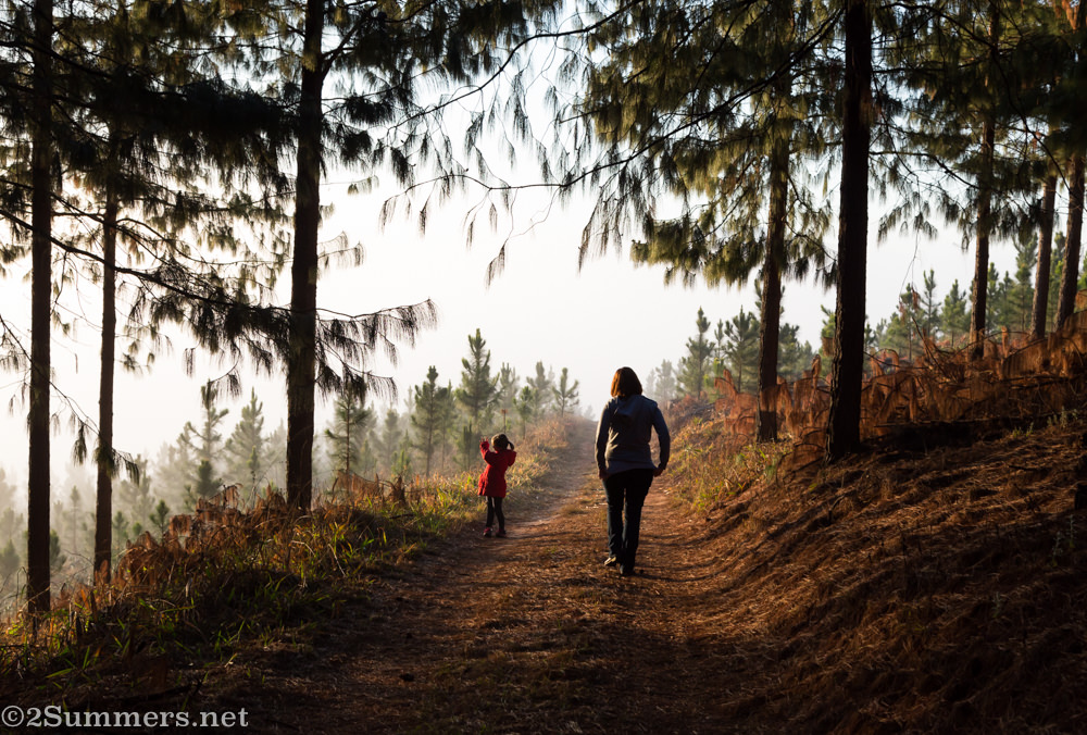 Samantha and Hunter hiking in Magoebaskloof