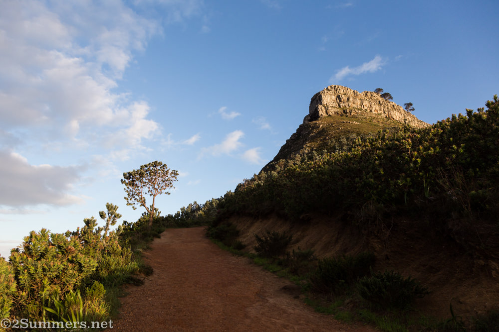 Looking up at Lion’s Head
