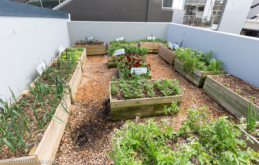Herb garden at Upper Eastside