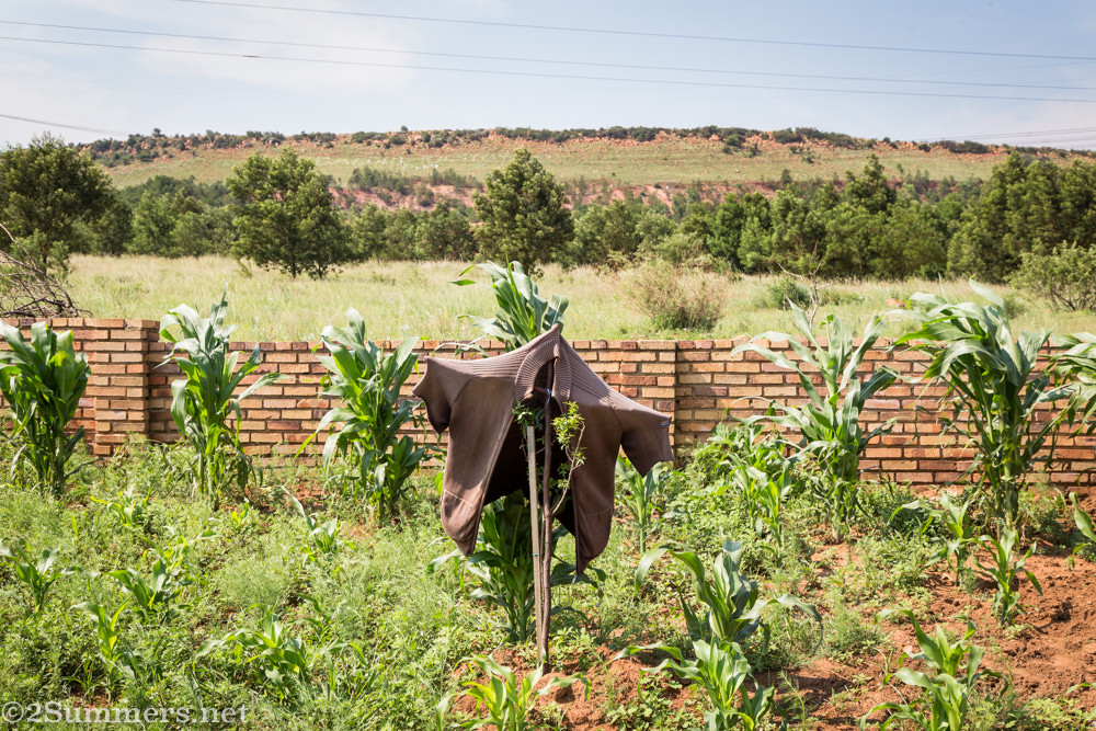 Scarecrow at Tolstoy Farm
