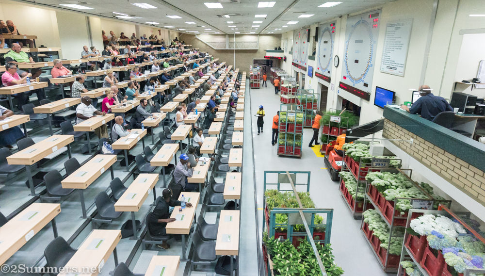 The Multiflora Market auction hall