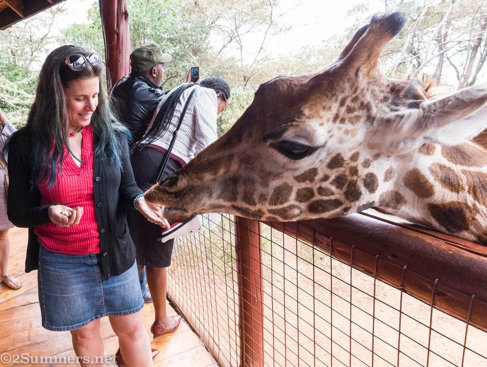 Heather feeding a giraffe