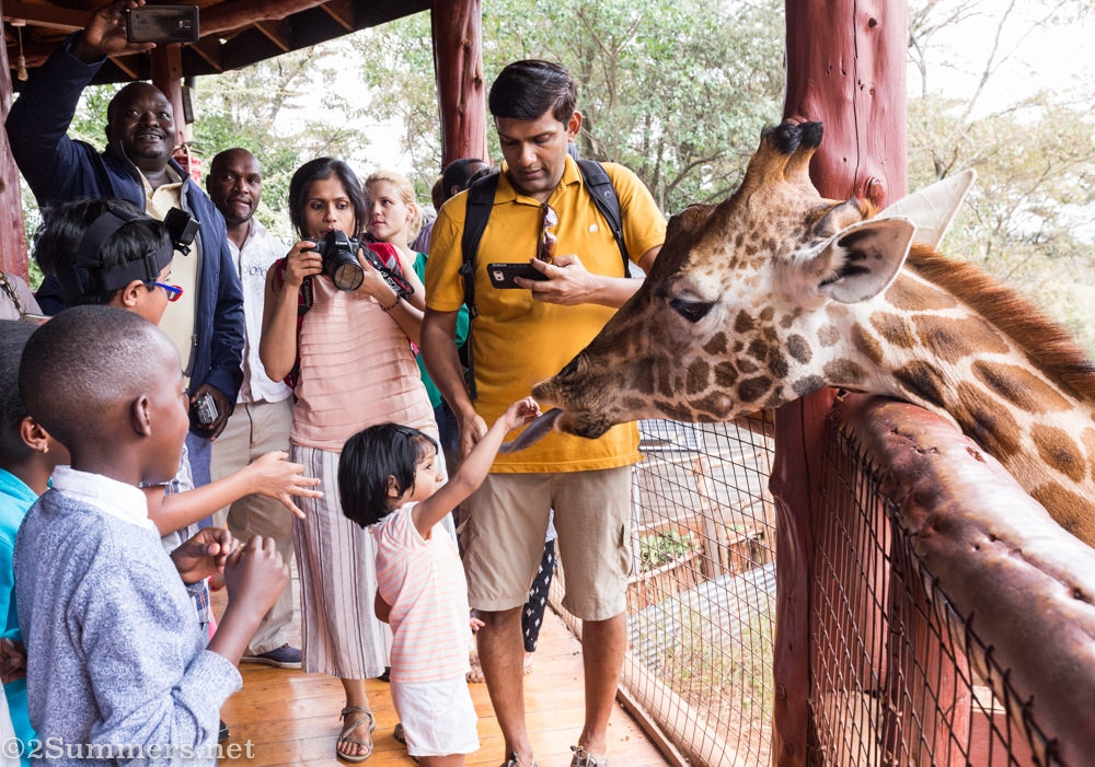 Kids feeding giraffes