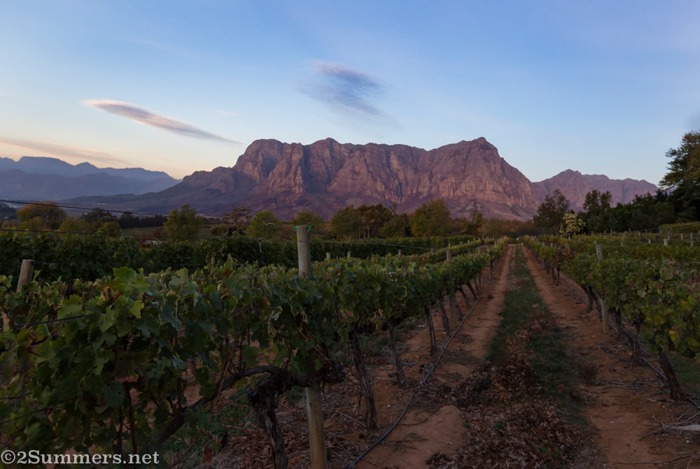 Mountains from Delaire Graff