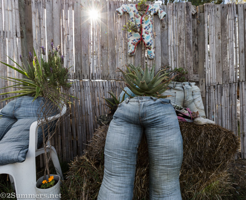 Planters at Tree-preneurs, Spier