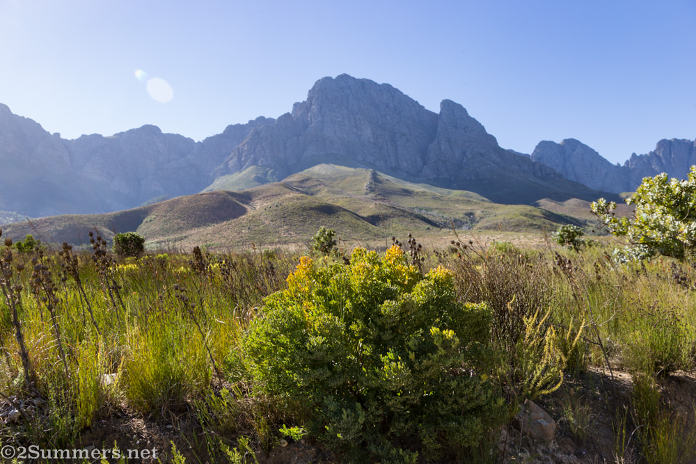 Jonkershoek view