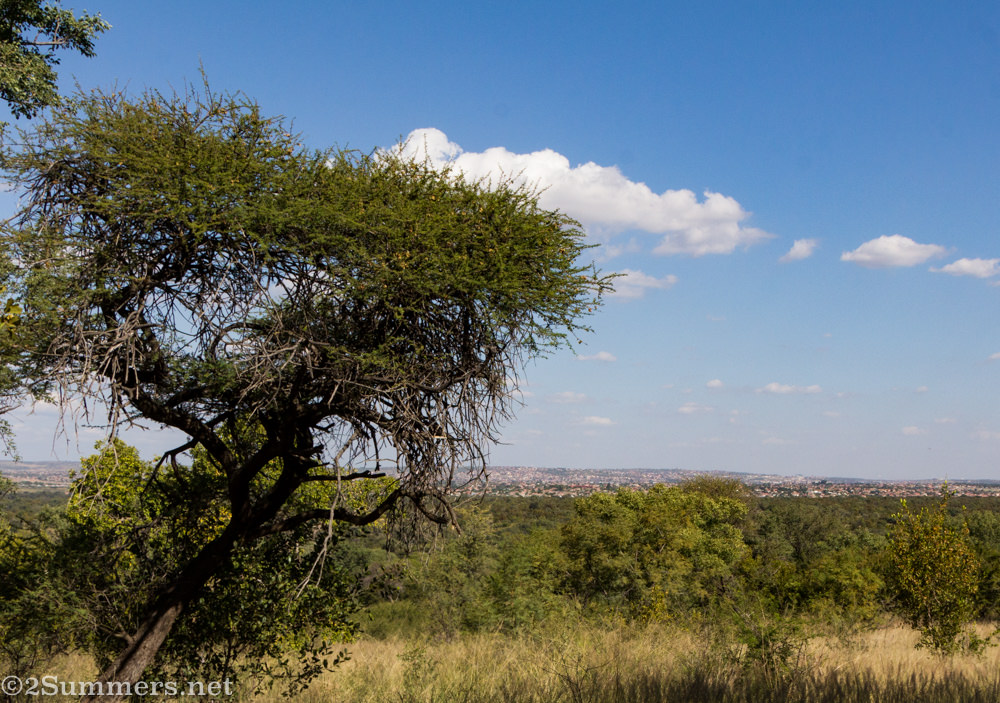 View of Soshanguve from Tswaing