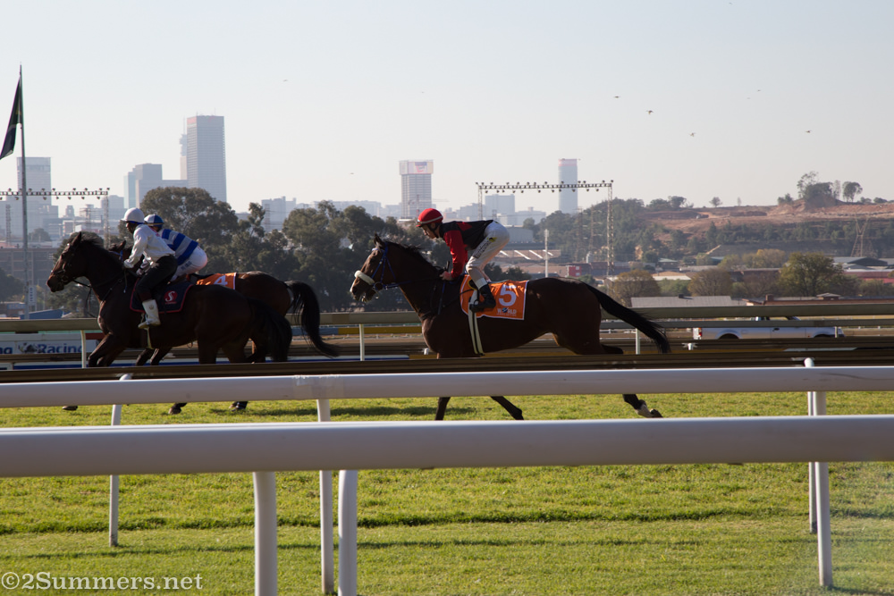Joburg skyline behind Turffontein Racecourse