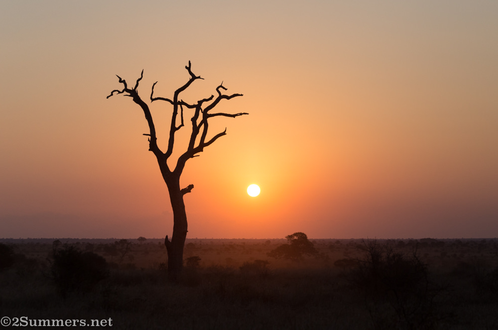 Sunset in the Kruger