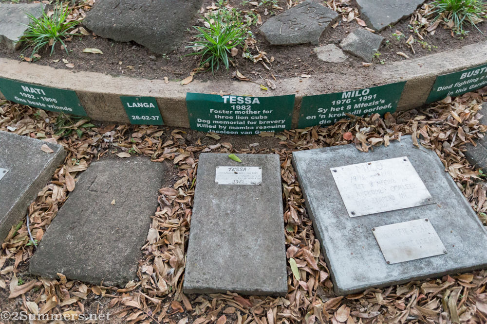 Dog cemetery gravestones