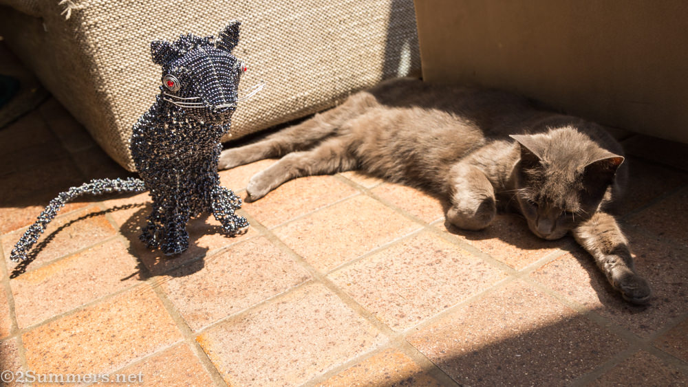 Beaded Smokey and real Smokey laying down