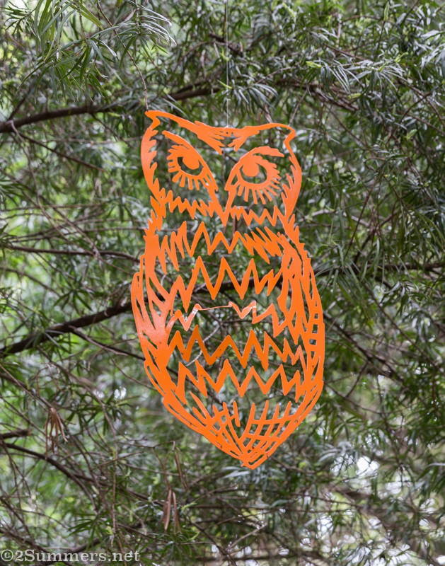 Orange owl in the Wilds