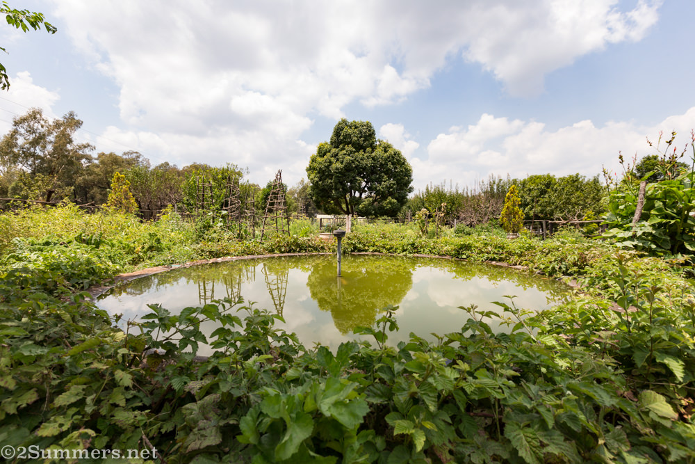 Garden at Brightside