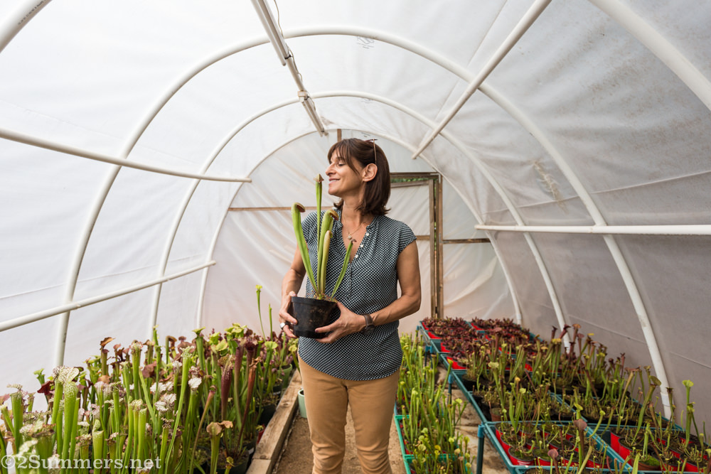 Renee at Jozi Carnivores