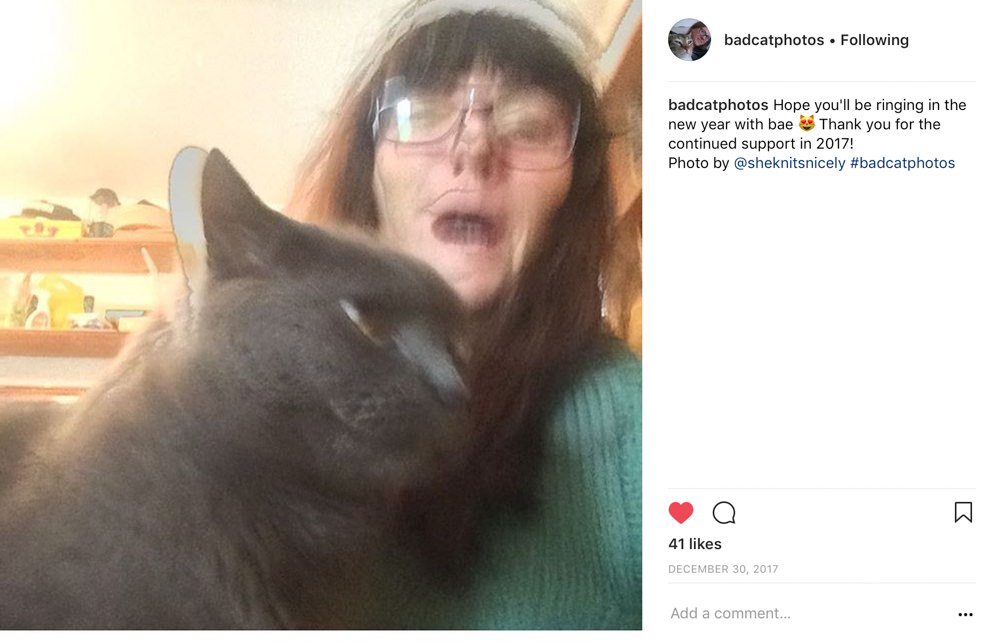 Blurry bad cat photo