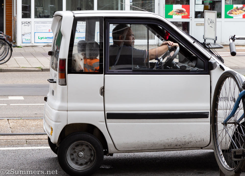 Canta car and dog in Amsterdam