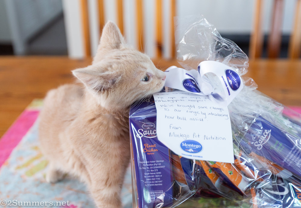 Trixie and Montego products