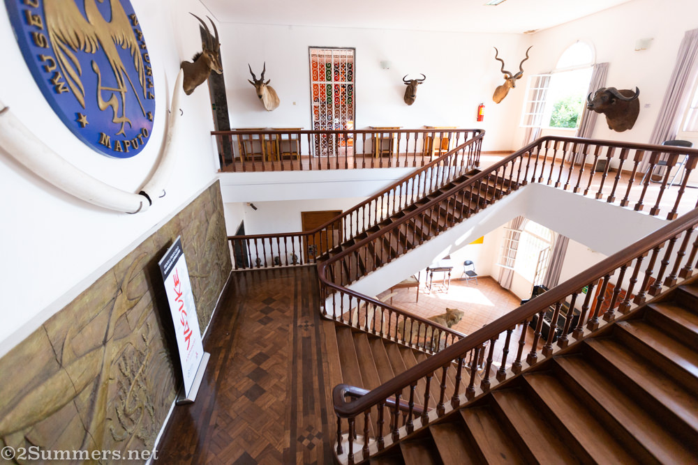 Inside the Maputo Natural History Museum