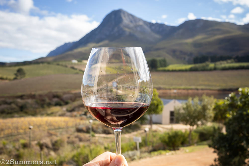 Pinot noir from Creation