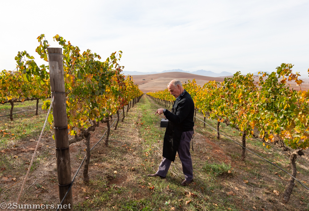 Frank Meaker in the Org de Rac vines