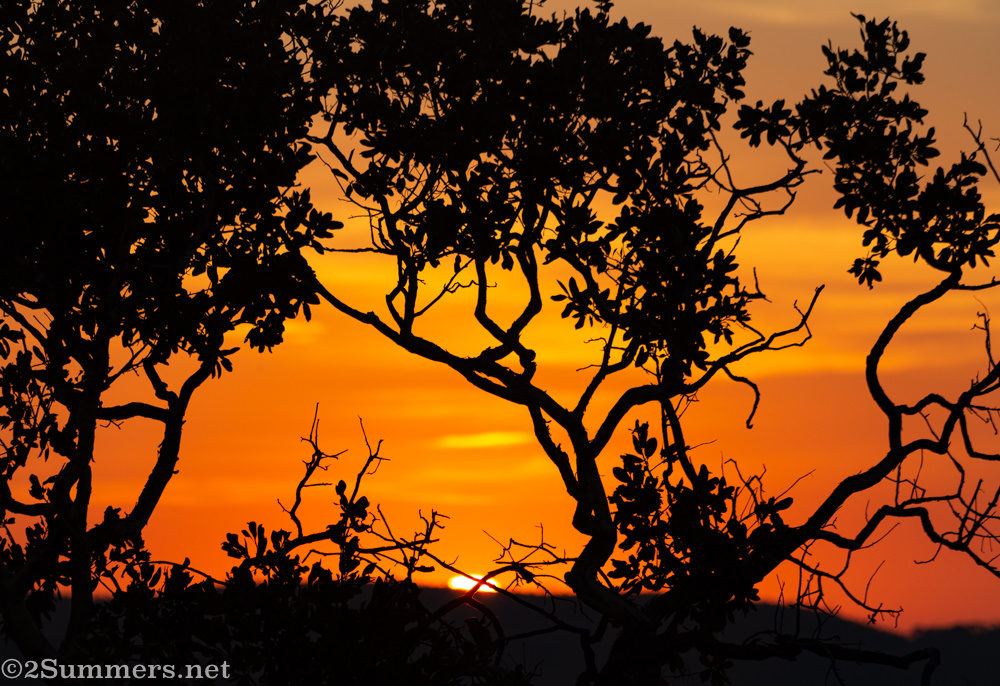 Last sunset in Welgevonden