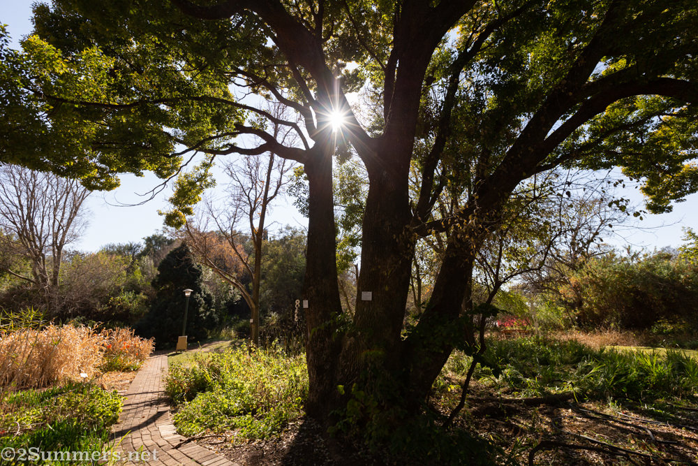 Winter in the NWU Potch Botanical Garden