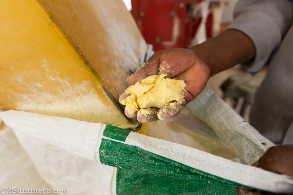 Freshly ground mielie meal