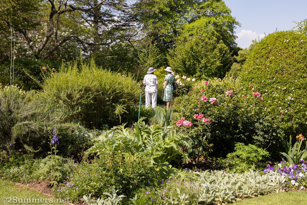 Greenery at the Stables gardens n Pallinghurst Road