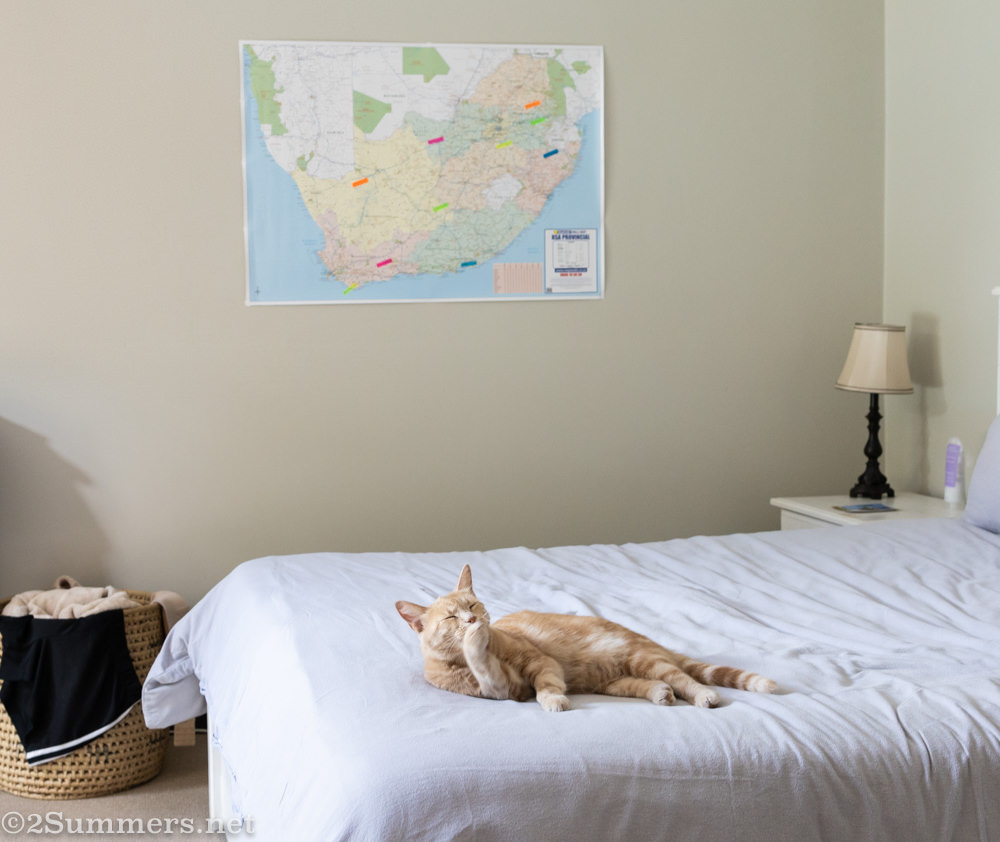 South African map on my wall.