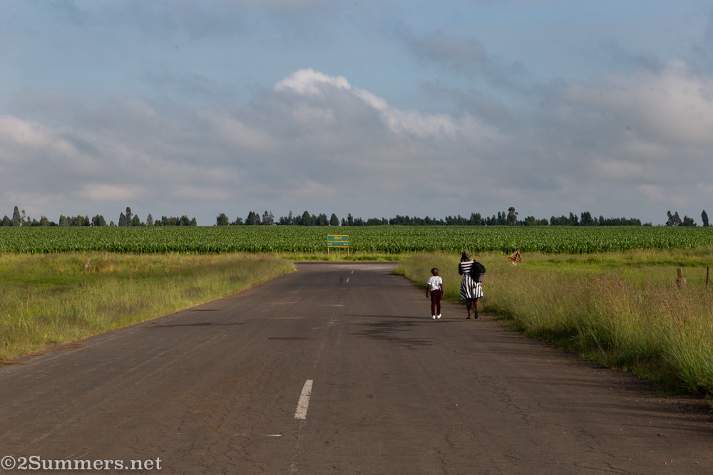 People walking down the road