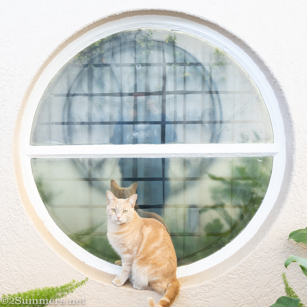 Trixie and me in the round bathroom window.