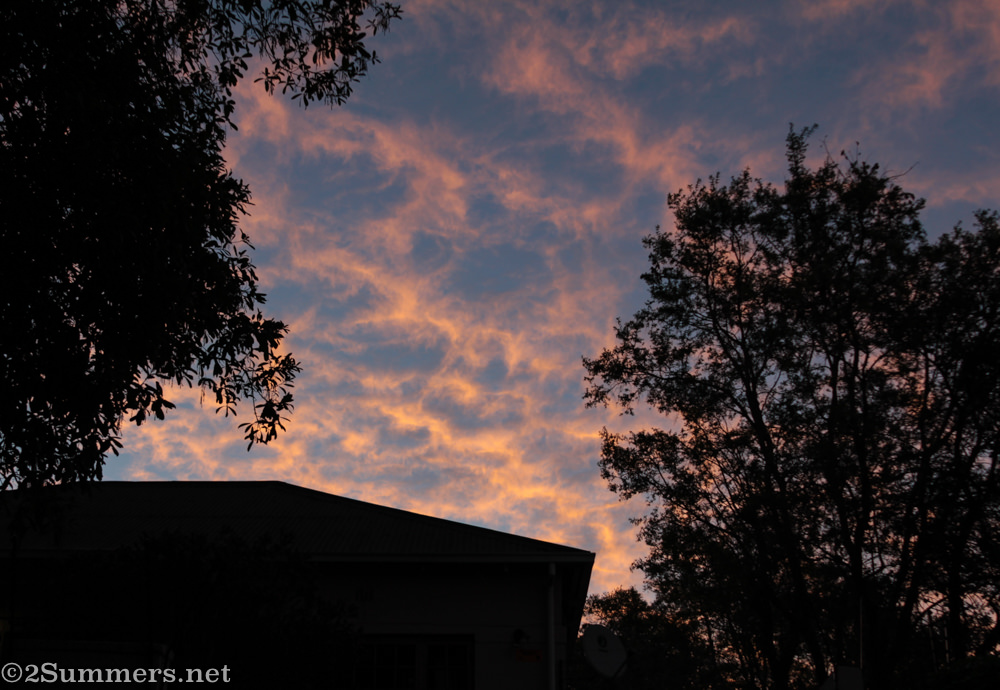 Winter sunset in Melville